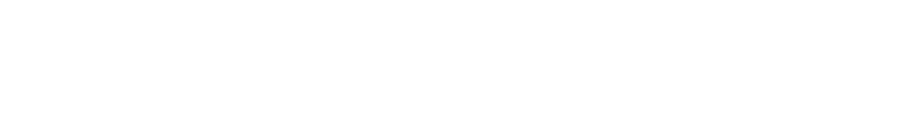 An extensive global network reaching the world market.